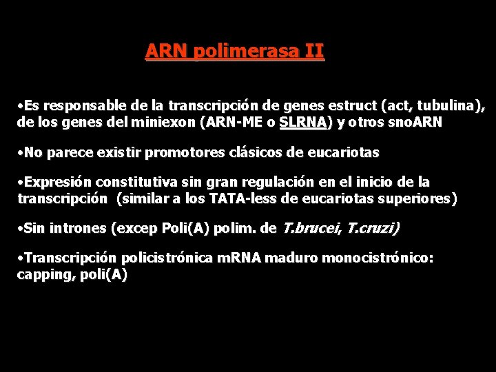 ARN polimerasa II • Es responsable de la transcripción de genes estruct (act, tubulina),