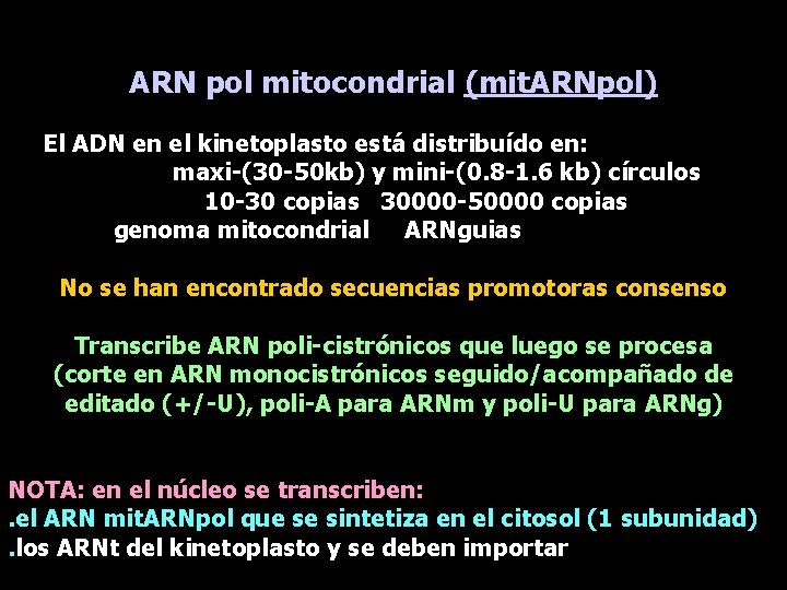 ARN pol mitocondrial (mit. ARNpol) El ADN en el kinetoplasto está distribuído en: maxi-(30