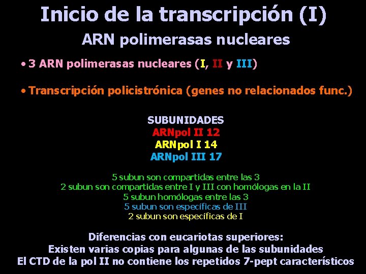 Inicio de la transcripción (I) ARN polimerasas nucleares • 3 ARN polimerasas nucleares (I,