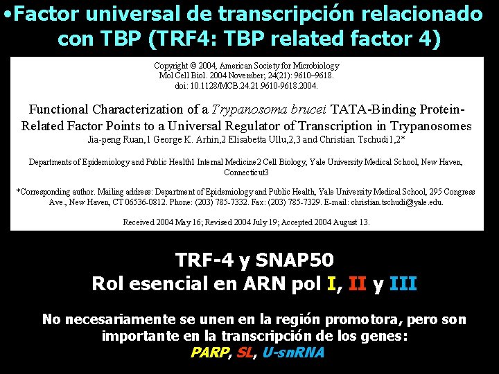  • Factor universal de transcripción relacionado con TBP (TRF 4: TBP related factor