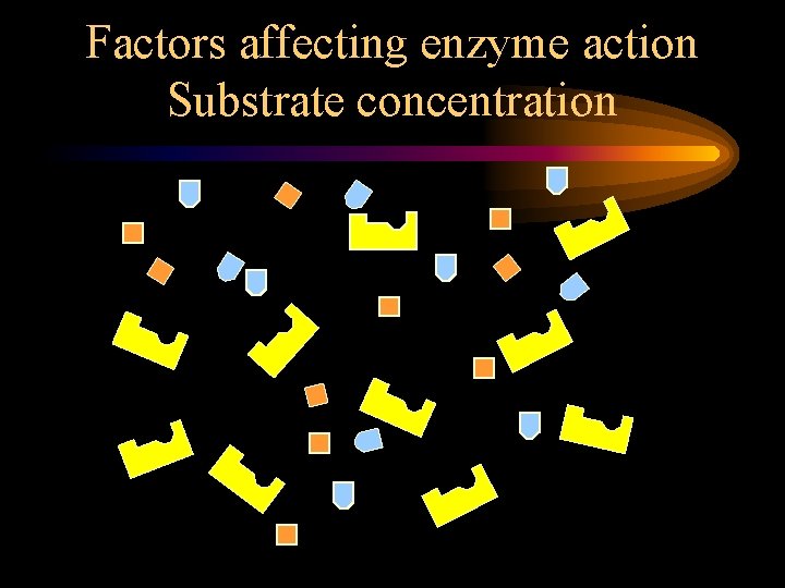 Factors affecting enzyme action Substrate concentration 