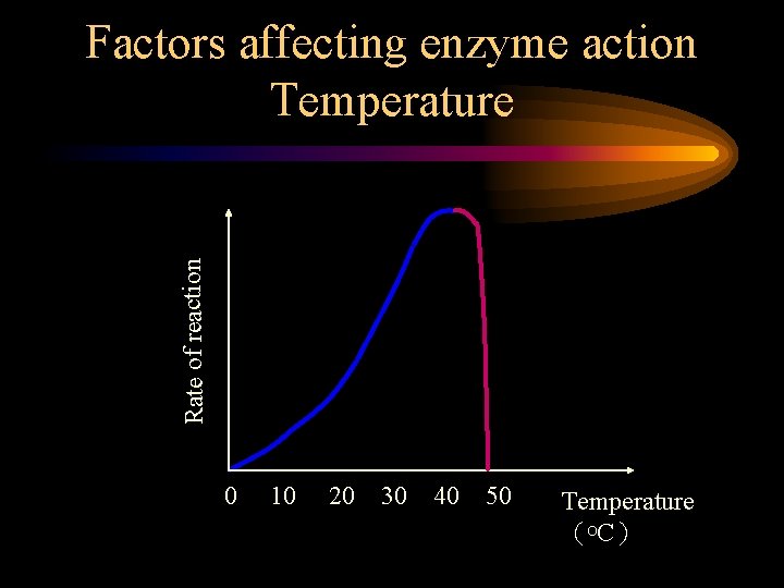 Rate of reaction Factors affecting enzyme action Temperature 0 10 20 30 40 50