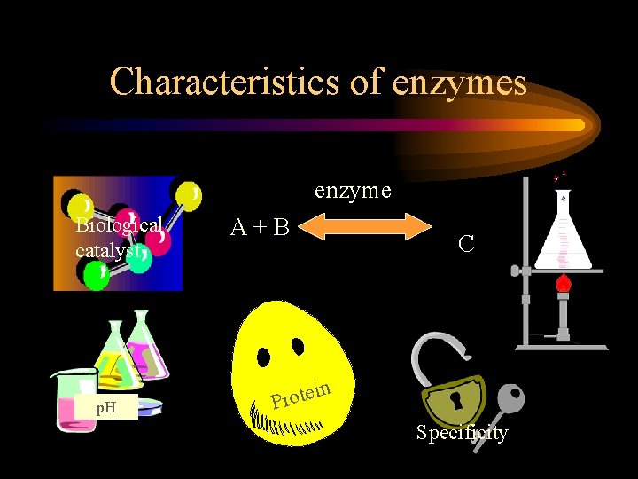 Characteristics of enzymes enzyme Biological catalyst p. H A+B C n i Prote Specificity