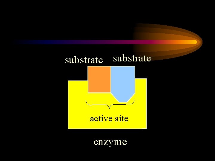 substrate active site enzyme 