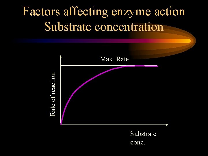 Factors affecting enzyme action Substrate concentration Rate of reaction Max. Rate Substrate conc. 