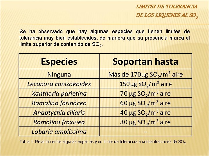 LIMITES DE TOLERANCIA DE LOS LIQUENES AL SO 2 Se ha observado que hay