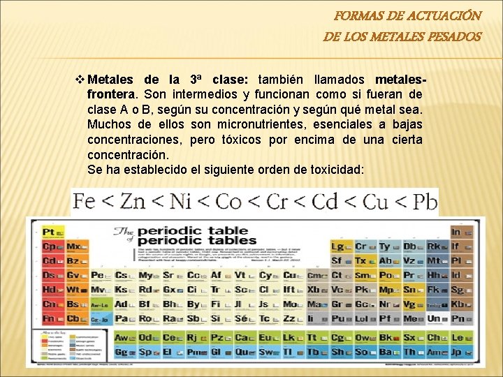 FORMAS DE ACTUACIÓN DE LOS METALES PESADOS v Metales de la 3ª clase: también