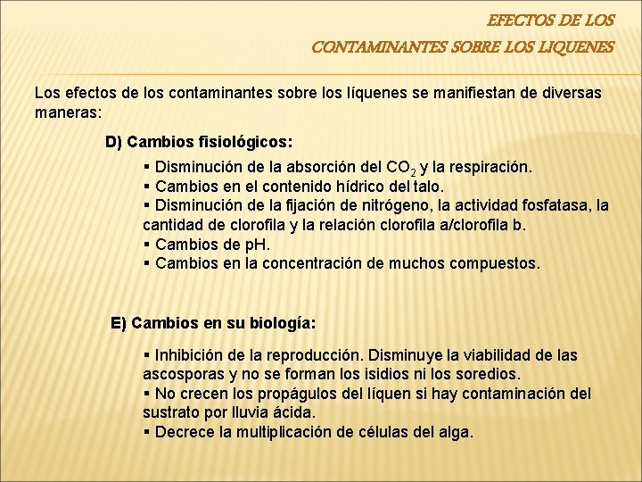 EFECTOS DE LOS CONTAMINANTES SOBRE LOS LIQUENES Los efectos de los contaminantes sobre los