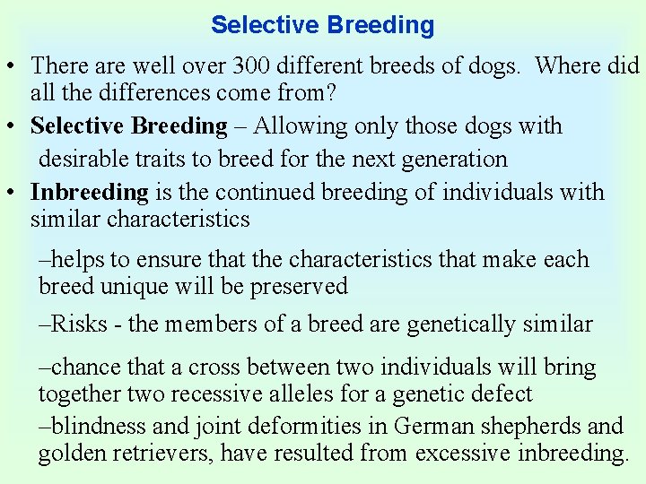 Selective Breeding • There are well over 300 different breeds of dogs. Where did