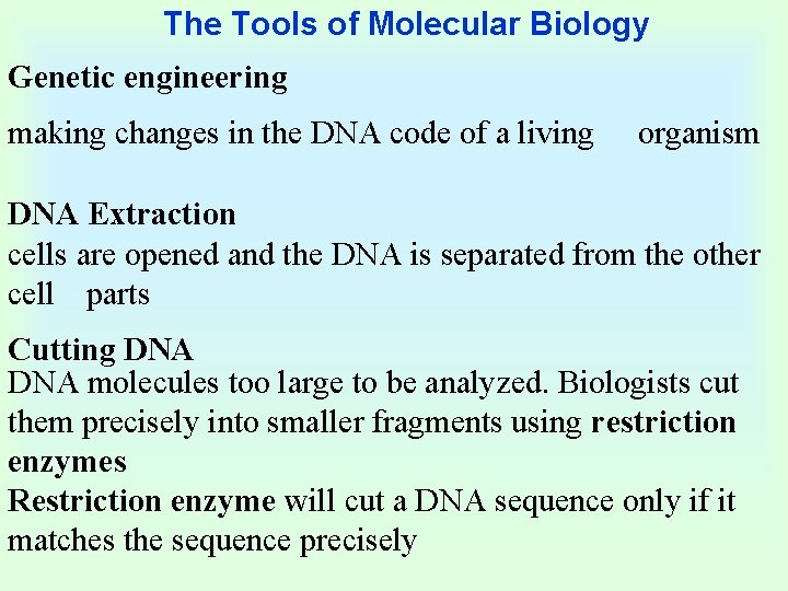 The Tools of Molecular Biology Genetic engineering making changes in the DNA code of