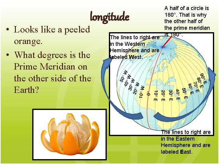 longitude • Looks like a peeled orange. • What degrees is the Prime Meridian