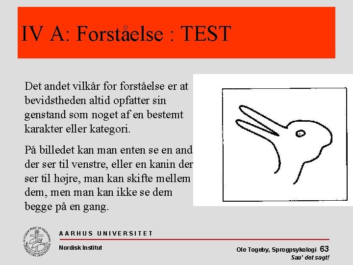 IV A: Forståelse : TEST Det andet vilkår forståelse er at bevidstheden altid opfatter