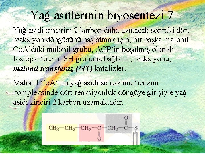 Yağ asitlerinin biyosentezi 7 Yağ asidi zincirini 2 karbon daha uzatacak sonraki dört reaksiyon