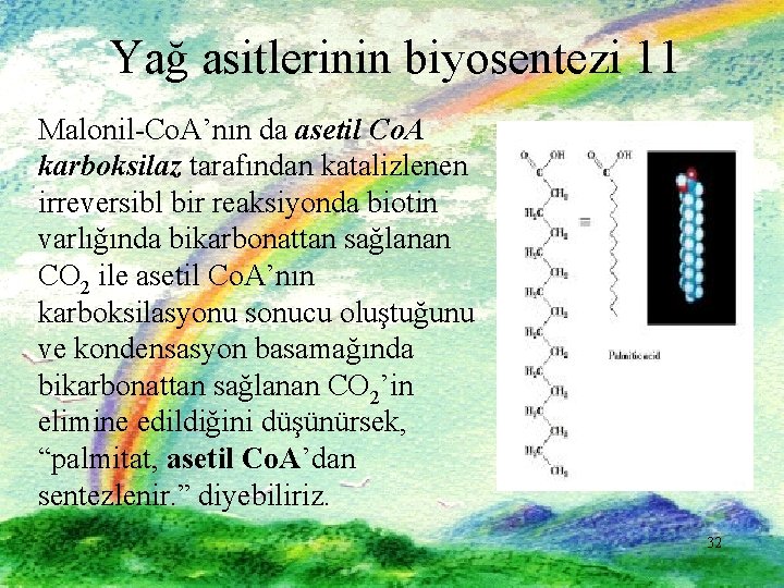 Yağ asitlerinin biyosentezi 11 Malonil-Co. A’nın da asetil Co. A karboksilaz tarafından katalizlenen irreversibl