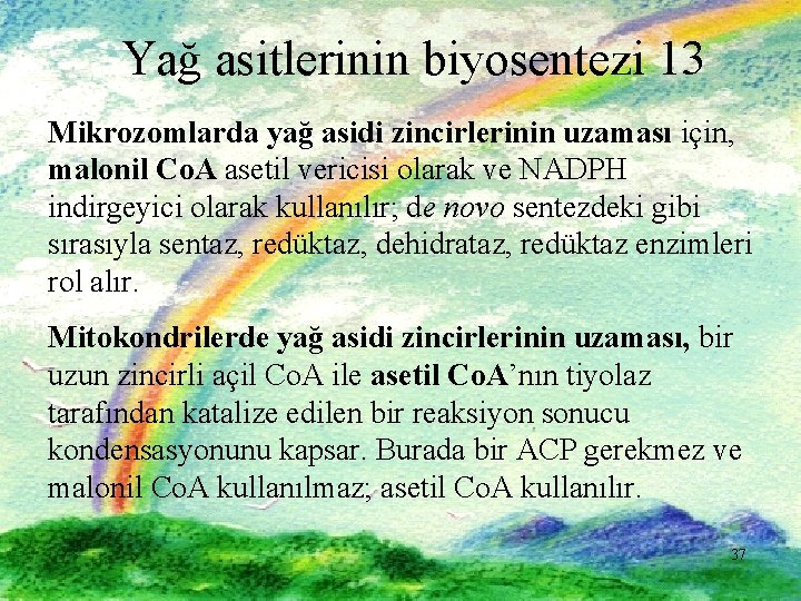 Yağ asitlerinin biyosentezi 13 Mikrozomlarda yağ asidi zincirlerinin uzaması için, malonil Co. A asetil