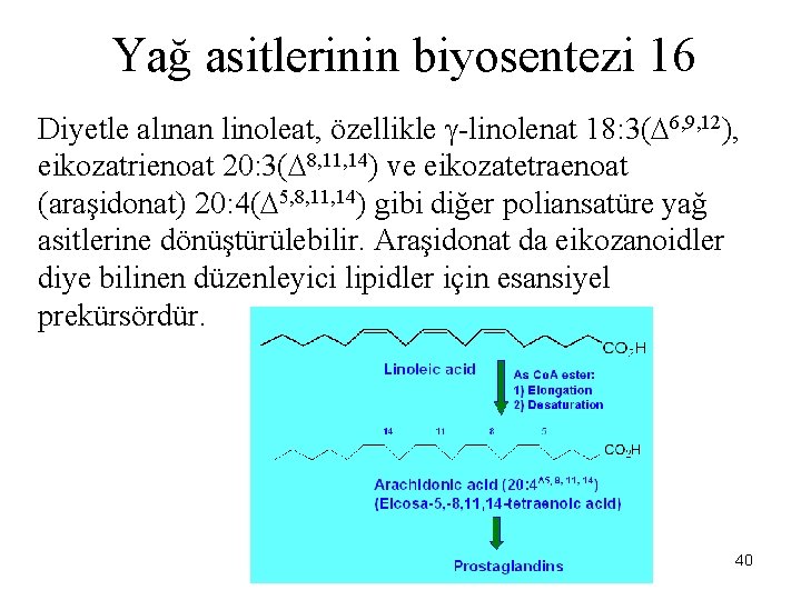 Yağ asitlerinin biyosentezi 16 Diyetle alınan linoleat, özellikle -linolenat 18: 3( 6, 9, 12),