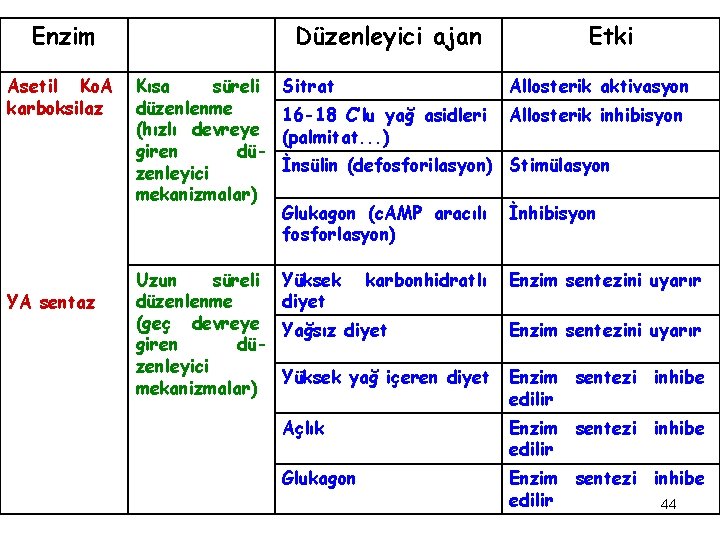 Enzim Asetil Ko. A karboksilaz YA sentaz Düzenleyici ajan Etki Kısa süreli düzenlenme (hızlı