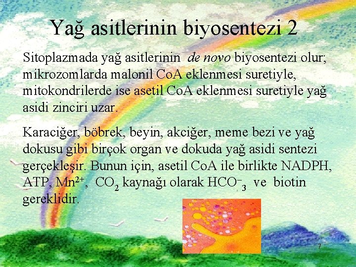 Yağ asitlerinin biyosentezi 2 Sitoplazmada yağ asitlerinin de novo biyosentezi olur; mikrozomlarda malonil Co.