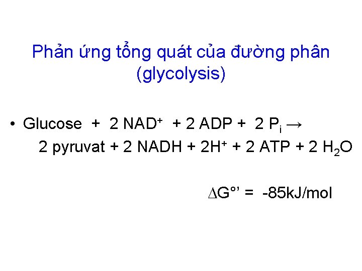 Phản ứng tổng quát của đường phân (glycolysis) • Glucose + 2 NAD+ +