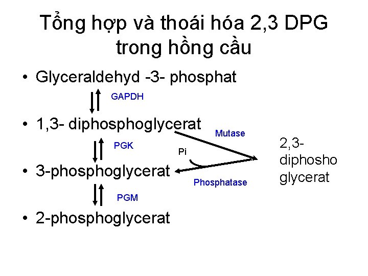 Tổng hợp và thoái hóa 2, 3 DPG trong hồng cầu • Glyceraldehyd -3
