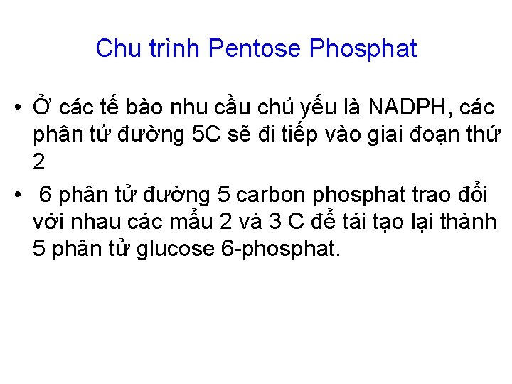 Chu trình Pentose Phosphat • Ở các tế bào nhu cầu chủ yếu là