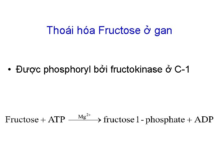 Thoái hóa Fructose ở gan • Được phosphoryl bởi fructokinase ở C-1 