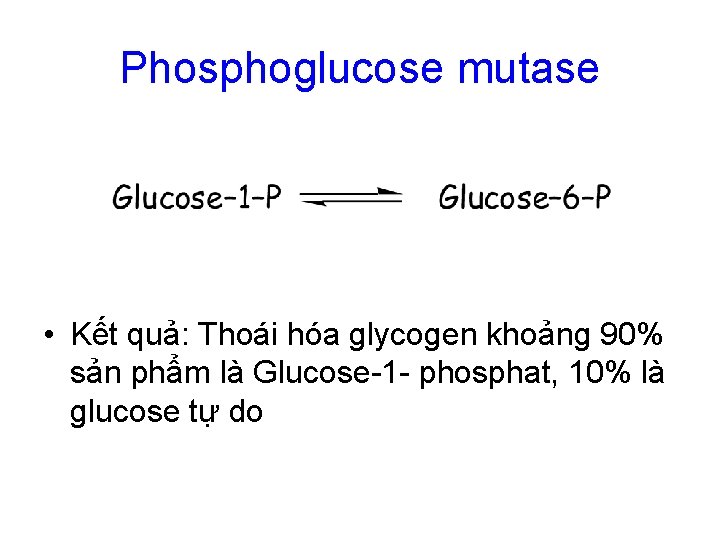 Phosphoglucose mutase • Kết quả: Thoái hóa glycogen khoảng 90% sản phẩm là Glucose-1