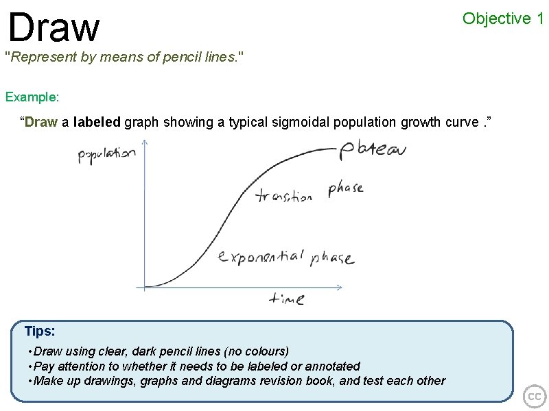 Draw Objective 1 "Represent by means of pencil lines. " Example: “Draw a labeled