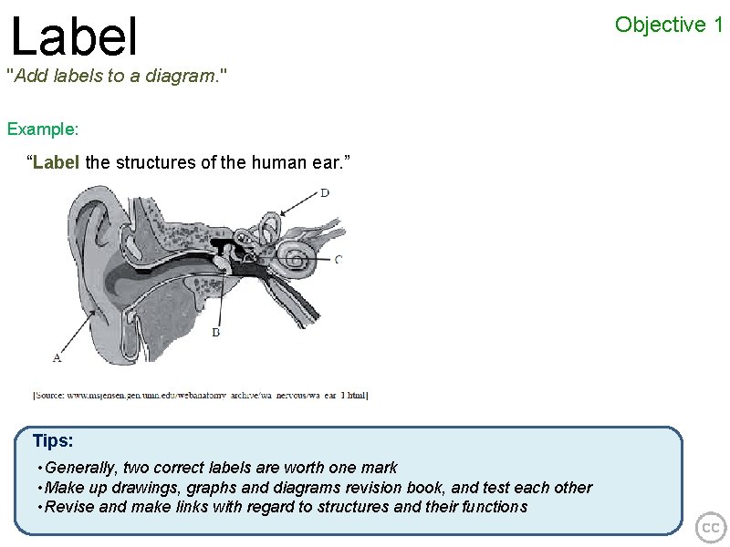 Label "Add labels to a diagram. " Example: “Label the structures of the human