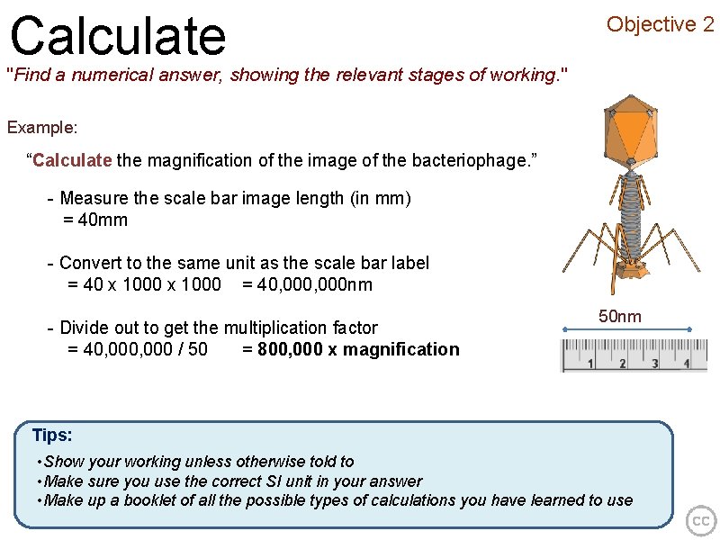 Calculate Objective 2 "Find a numerical answer, showing the relevant stages of working. "