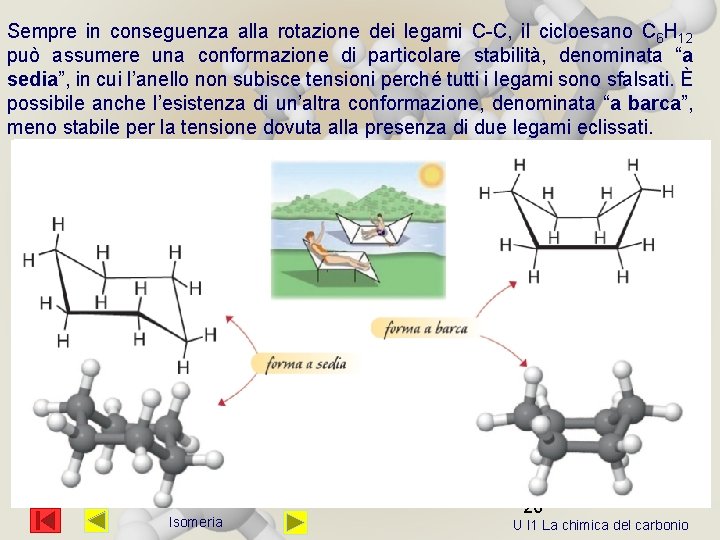 Sempre in conseguenza alla rotazione dei legami C-C, il cicloesano C 6 H 12