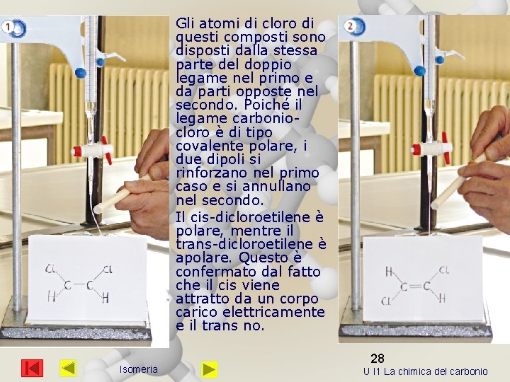 Gli atomi di cloro di questi composti sono disposti dalla stessa parte del doppio