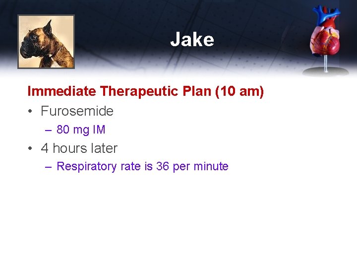 Jake Immediate Therapeutic Plan (10 am) • Furosemide – 80 mg IM • 4