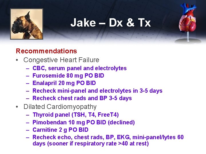 Jake – Dx & Tx Recommendations • Congestive Heart Failure – – – CBC,
