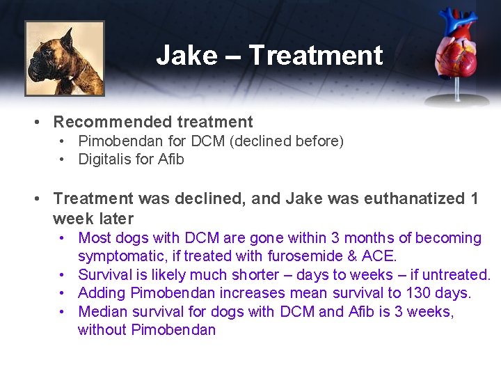 Jake – Treatment • Recommended treatment • Pimobendan for DCM (declined before) • Digitalis