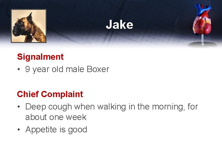 Jake Signalment • 9 year old male Boxer Chief Complaint • Deep cough when