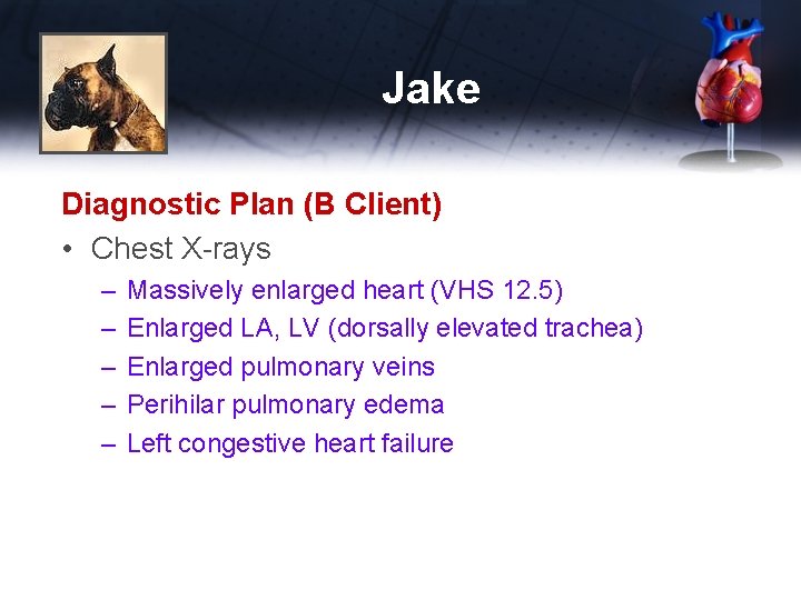 Jake Diagnostic Plan (B Client) • Chest X-rays – – – Massively enlarged heart