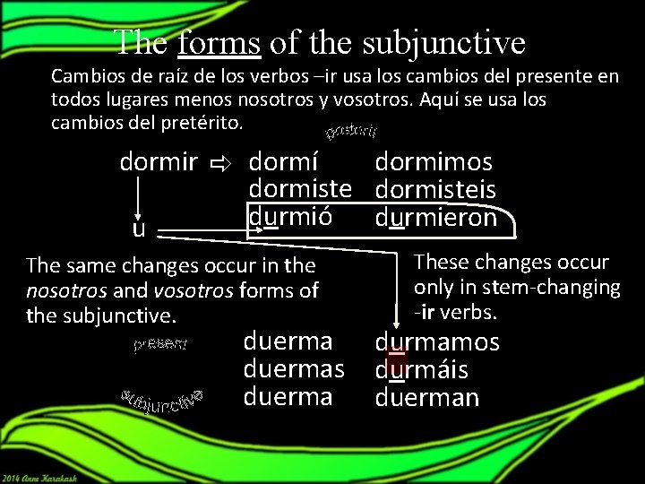 The forms of the subjunctive Cambios de raíz de los verbos –ir usa los