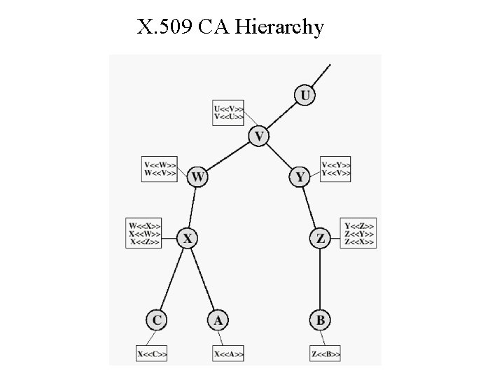 X. 509 CA Hierarchy 