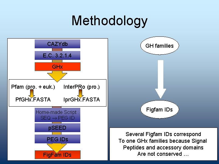 Methodology CAZYdb GH families E. C. 3. 2. 1. 4 GHx Pfam (pro. +