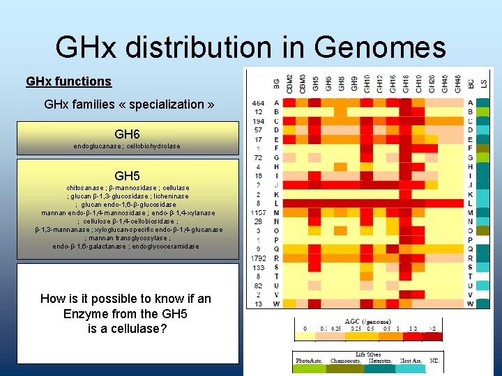 GHx distribution in Genomes GHx functions GHx families « specialization » GH 6 endoglucanase