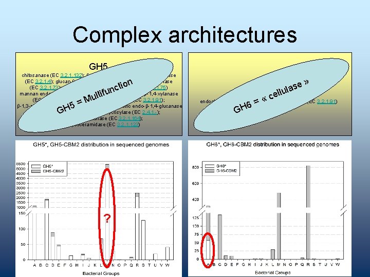 Complex architectures GH 5 chitosanase (EC 3. 2. 1. 132); β-mannosidase (EC 3. 2.