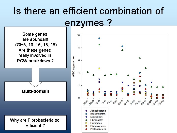 Is there an efficient combination of enzymes ? Some genes are abundant (GH 5,