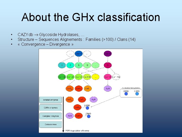 About the GHx classification • • • CAZYdb Glycoside Hydrolases, … Structure – Sequences