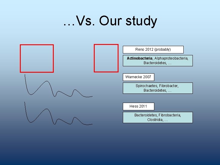 …Vs. Our study Reno 2012 (probably) Actinobacteria, Alphaproteobacteria, Bacteroidetes, … Warnecke 2007 Spirochaetes, Fibrobacter,