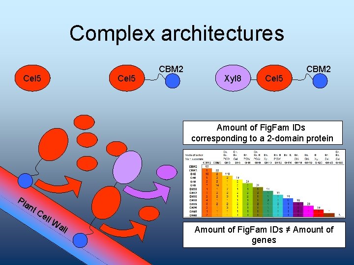 Complex architectures Cel 5 CBM 2 Xyl 8 Cel 5 CBM 2 Amount of