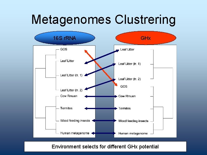 Metagenomes Clustrering 16 S r. RNA GHx Environment selects for different GHx potential 