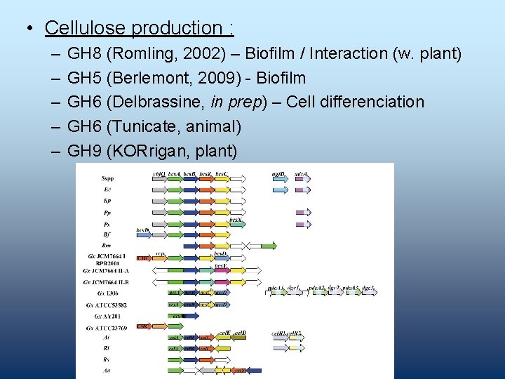  • Cellulose production : – – – GH 8 (Romling, 2002) – Biofilm