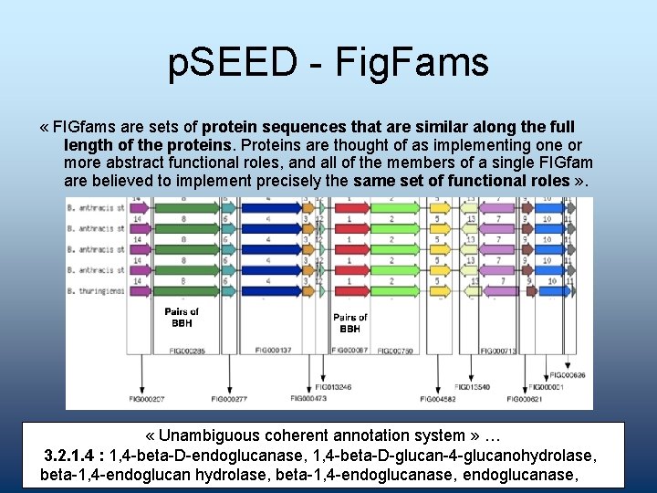 p. SEED - Fig. Fams « FIGfams are sets of protein sequences that are