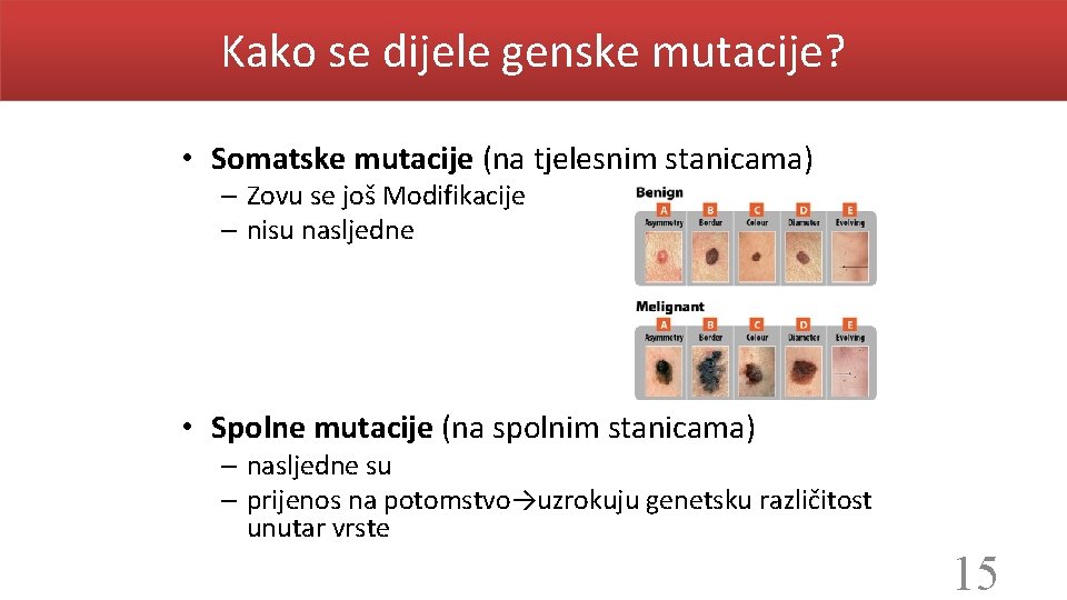 Kako se dijele genske mutacije? • Somatske mutacije (na tjelesnim stanicama) – Zovu se